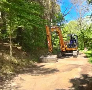 Arranca la reparación de caminos y la saca de madera en el bosque de Valorio de Zamora