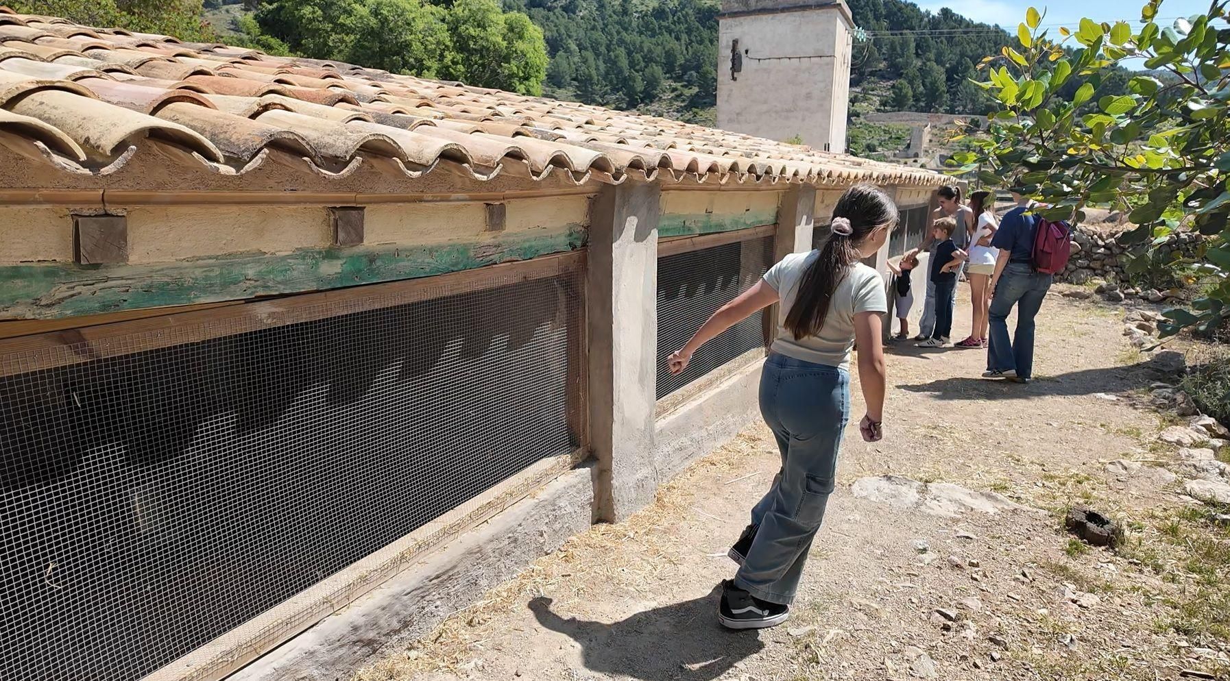 Las imágenes del Pancaritat en familia en la finca de Galatzó