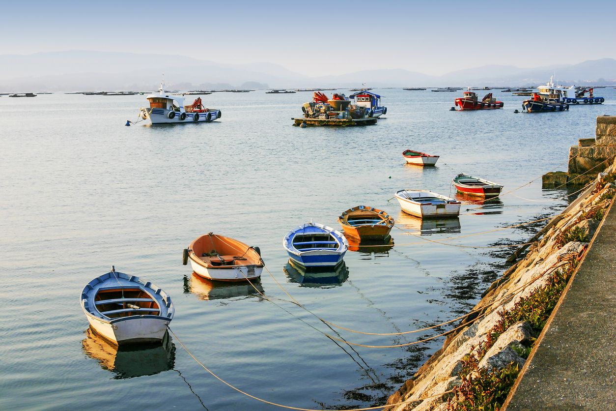 Las barcas descansan tras la faena en Vilanova de Arousa