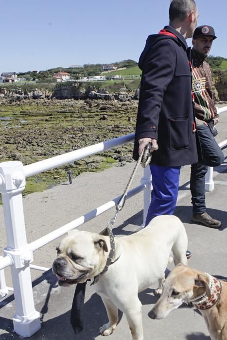 Gijón se promociona como destino vacacional para familias con sus mascotas