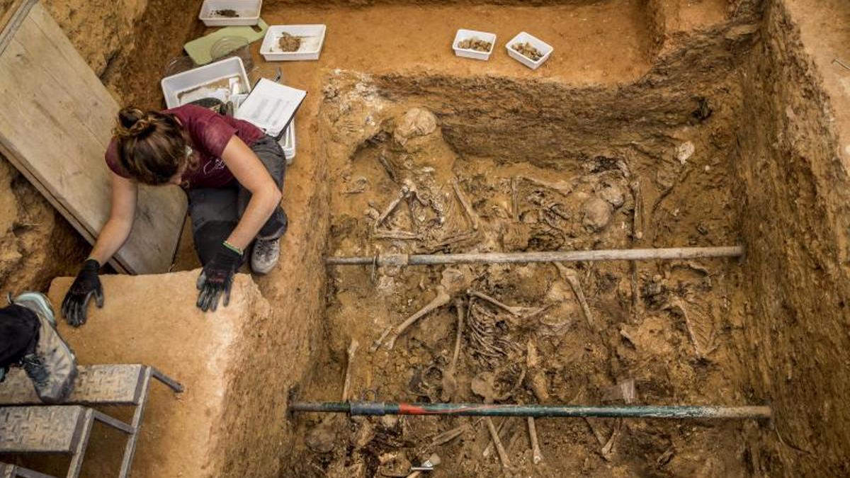 Trabajos de excavación en la fosa común 112 del cementerio de Paterna (València), donde se halló cerca de un centenar de cuerpos represaliados de la Guerra Civil, el 8 de abril de 2019.