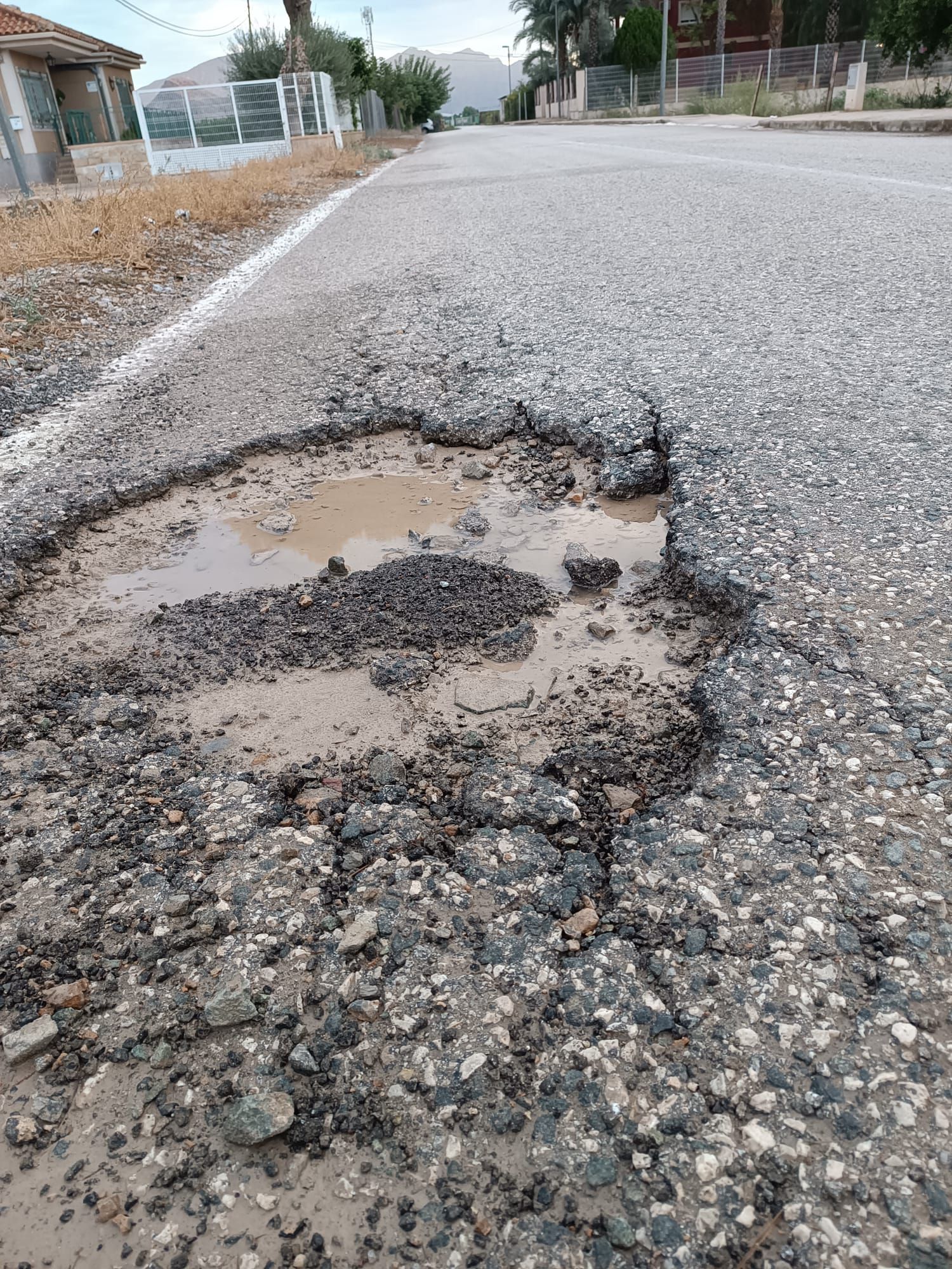 WhatsApp Image 2025-10-01 at 09.34.03 (1).jpeg