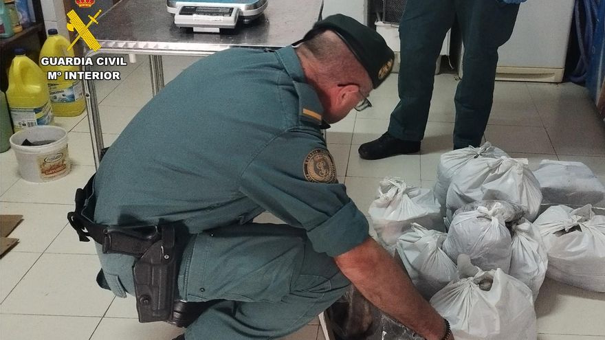 Con 140 kilos de pulpo inmaduro, en el maletero y sin refrigerar, para venderlo a locales en Santa Pola