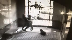 El ’mimosín’ i altres tècniques de furt amb distracció.