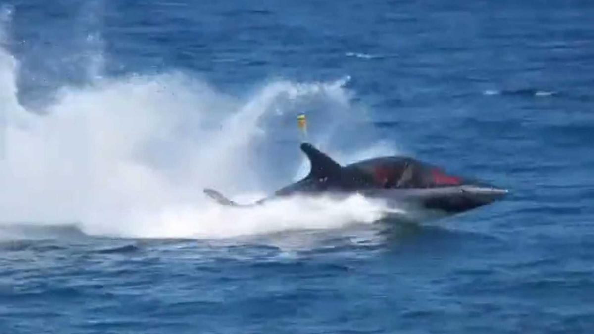 Vídeo | Un misteriós vehicle aquàtic en forma de dofí fa la seva aparició a l'Escala