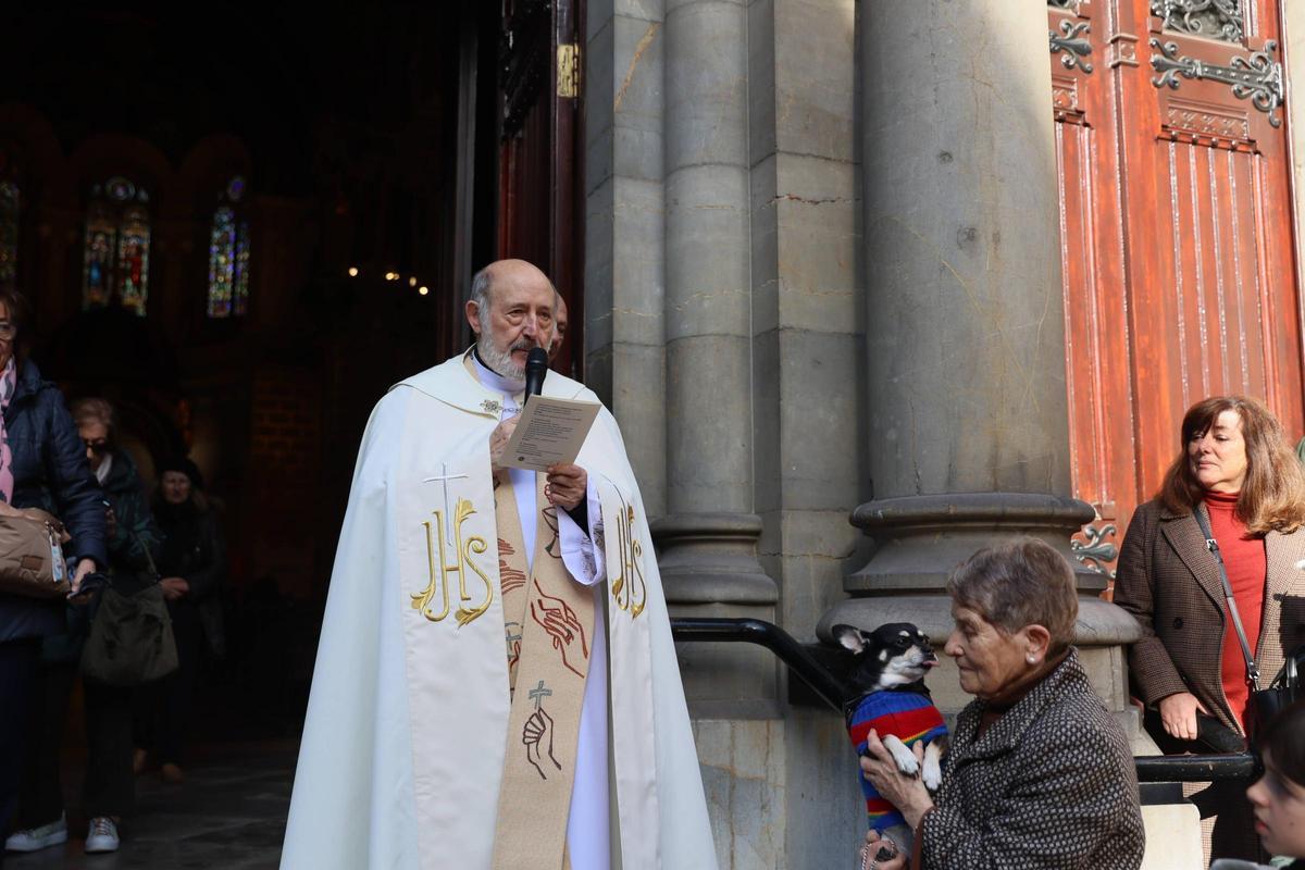 EN IMÁGENES: Oviedo bendice a sus mascotas por San Antón