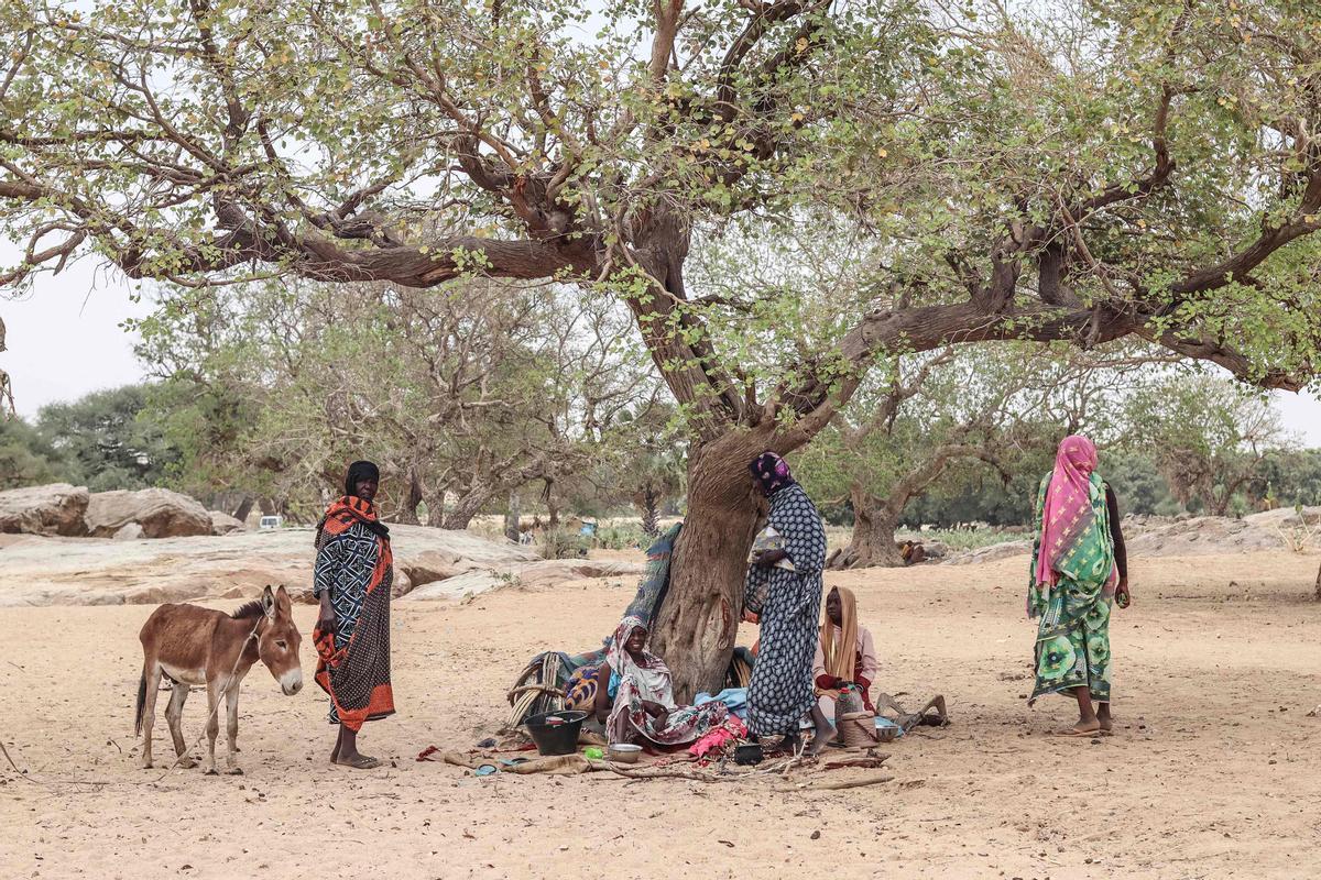 Éxodo de refugiados sudaneses hacia El Chad