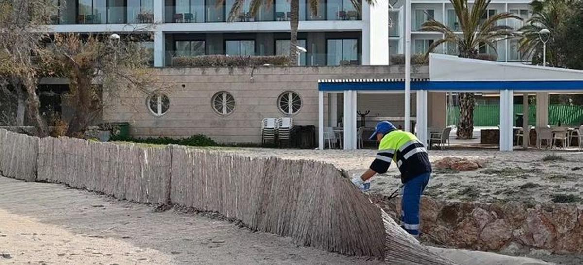 Auch die Sandfänger-Zäune aus Schilfrohr werden vorübergehend abgebaut