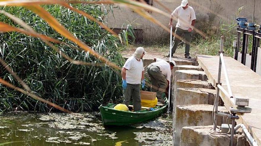 Dos trabajadores de Riegos de Levante chequean los canales de riego del pantano en una imagen de archivo