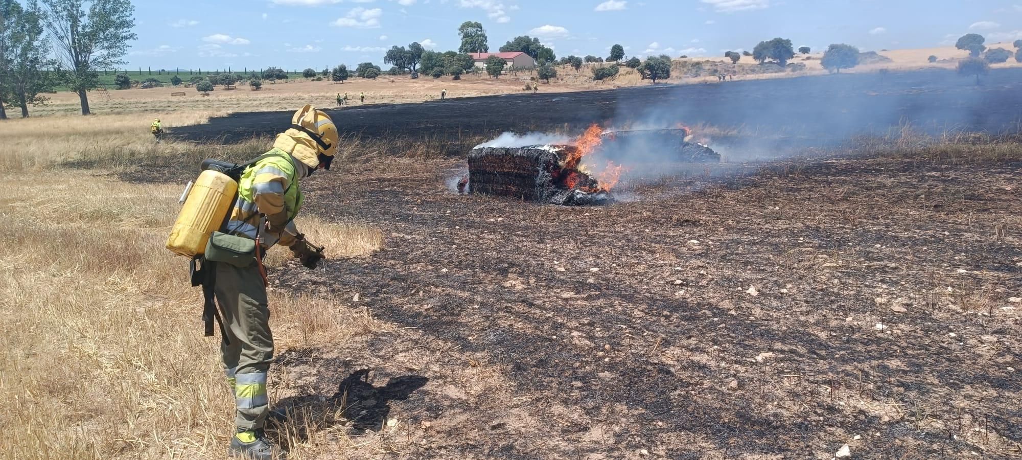 GALERÍA | Incendio forestal en la comarca de Sayago
