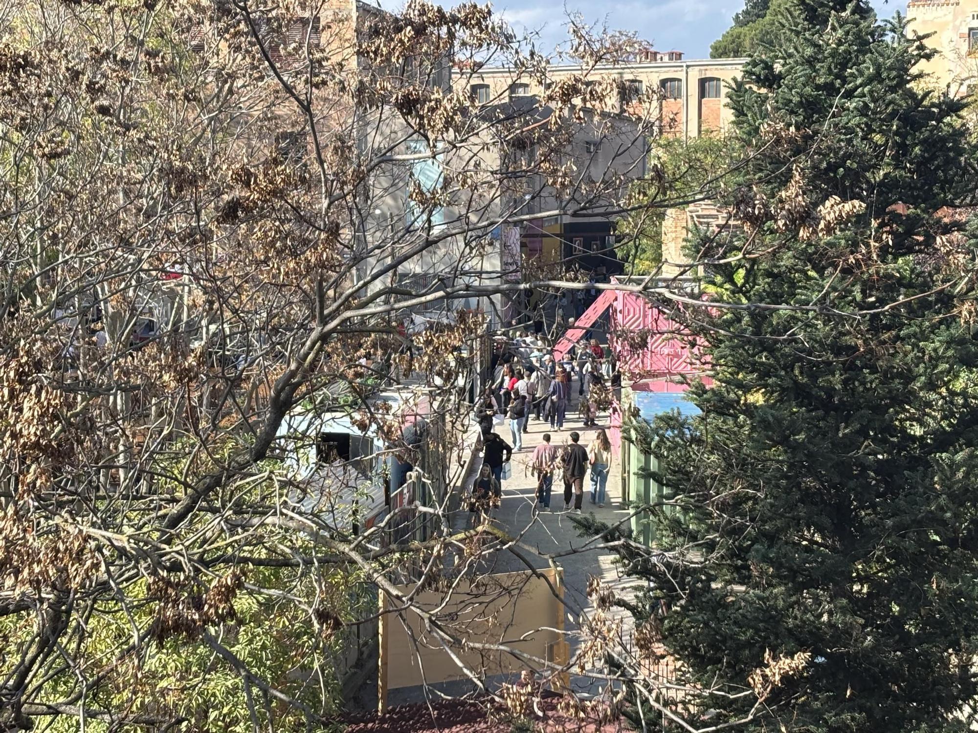 Les millors imatges del Rec.0