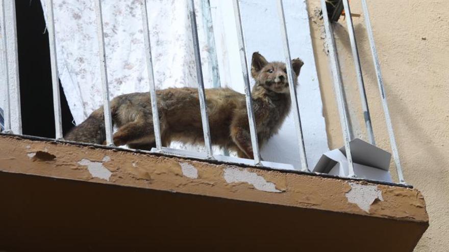 Un barrio sin tiendas 