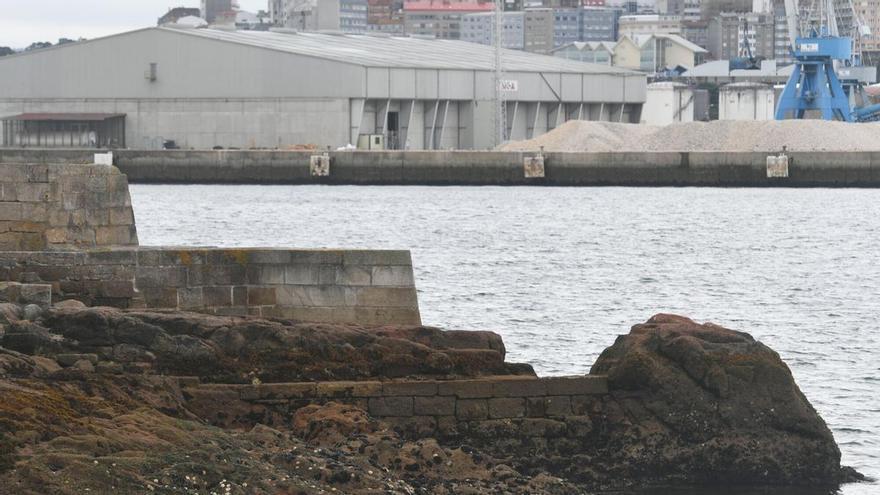 La ostra rizada japonesa invade las rocas del castillo de San Antón, en A Coruña: "Esta especie está estendéndose por todo o mundo"