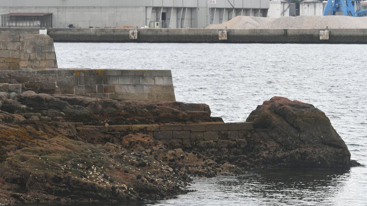 La ostra rizada japonesa invade las rocas del castillo de San Antón, en A Coruña: "Esta especie está estendéndose por todo o mundo"
