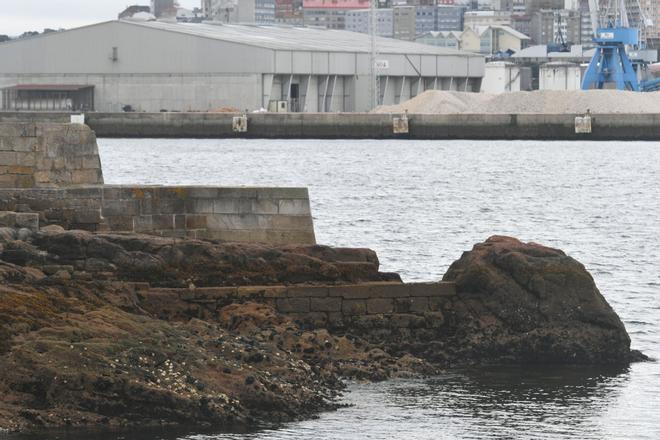 Ostras rizadas japonesas invaden en entorno del castillo de San Antón, en A Coruña