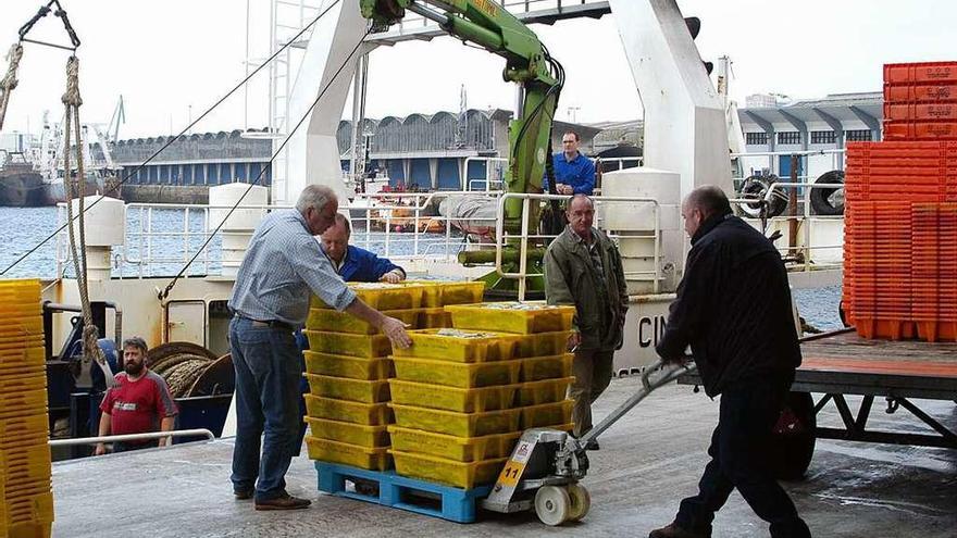 Un pesquero descarga pescado en el muelle coruñés.