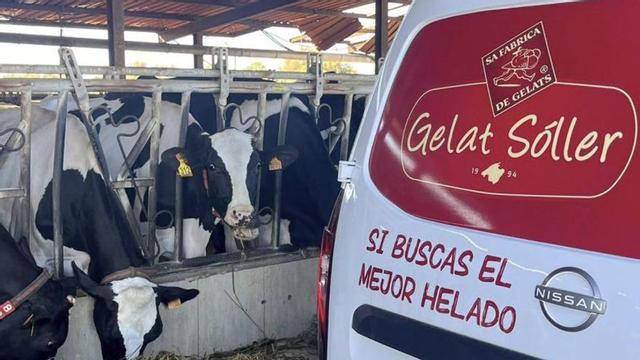Gelat Sóller: Un pas per mantenir l’excel·lència (1)