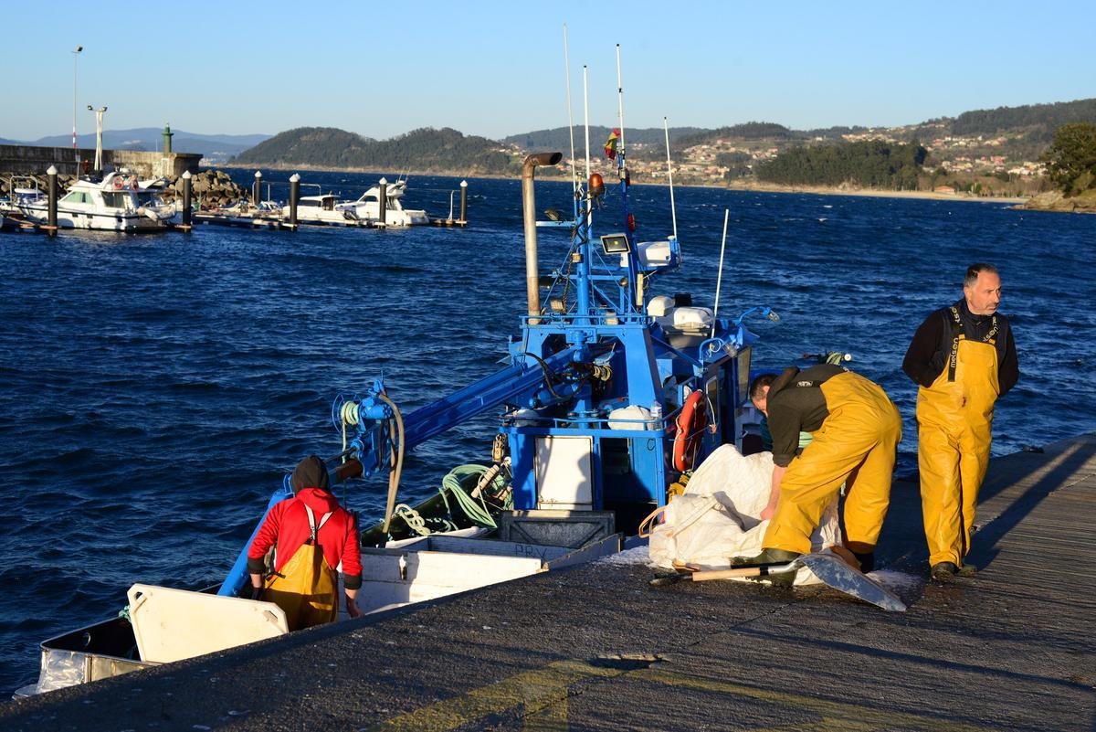 La tripulación de otro de los cerqueros de Bueu carga ayer hielo a bordo antes de salir a faenar.