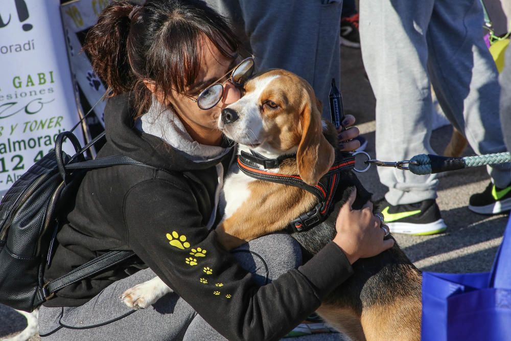 Almoradí celebra su primera Caminata Solidaria con animales