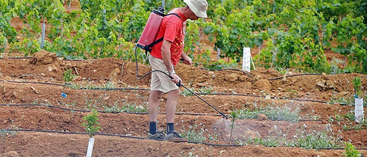 Un agricultor fumiga un campo en China.