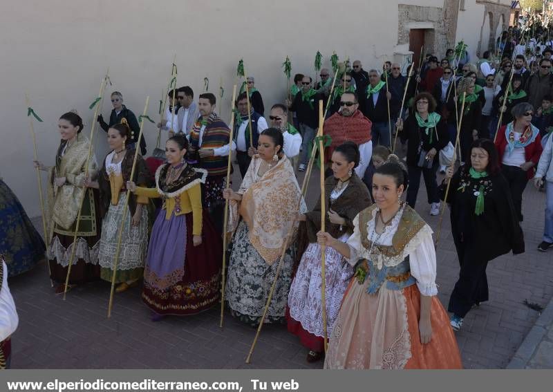 GALERÍA DE FOTOS - Romería Magdalena 2014 (5)