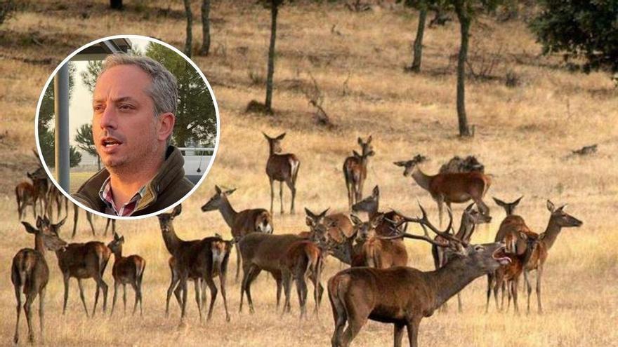La berrea más salvaje despierta en Extremadura: "Para los amantes de la caza, son las fechas más bonitas del año"