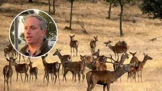 La berrea más salvaje despierta en Extremadura: "Para los amantes de la caza, son las fechas más bonitas del año"