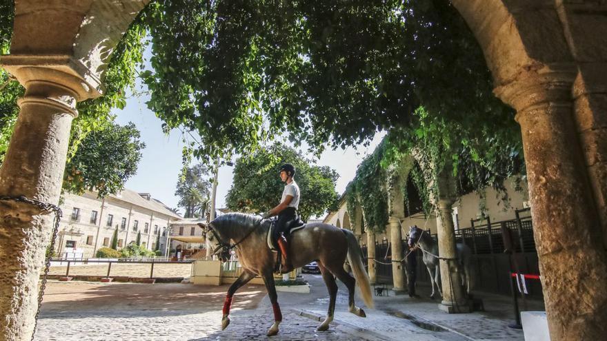 Hacemos aboga por crear un patronato para Caballerizas y critica la cesión directa a Córdoba Ecuestre