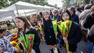 Sant Jordi 2024