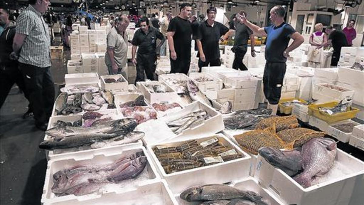 El mercado del pescado de Mercabarna en plena actividad.