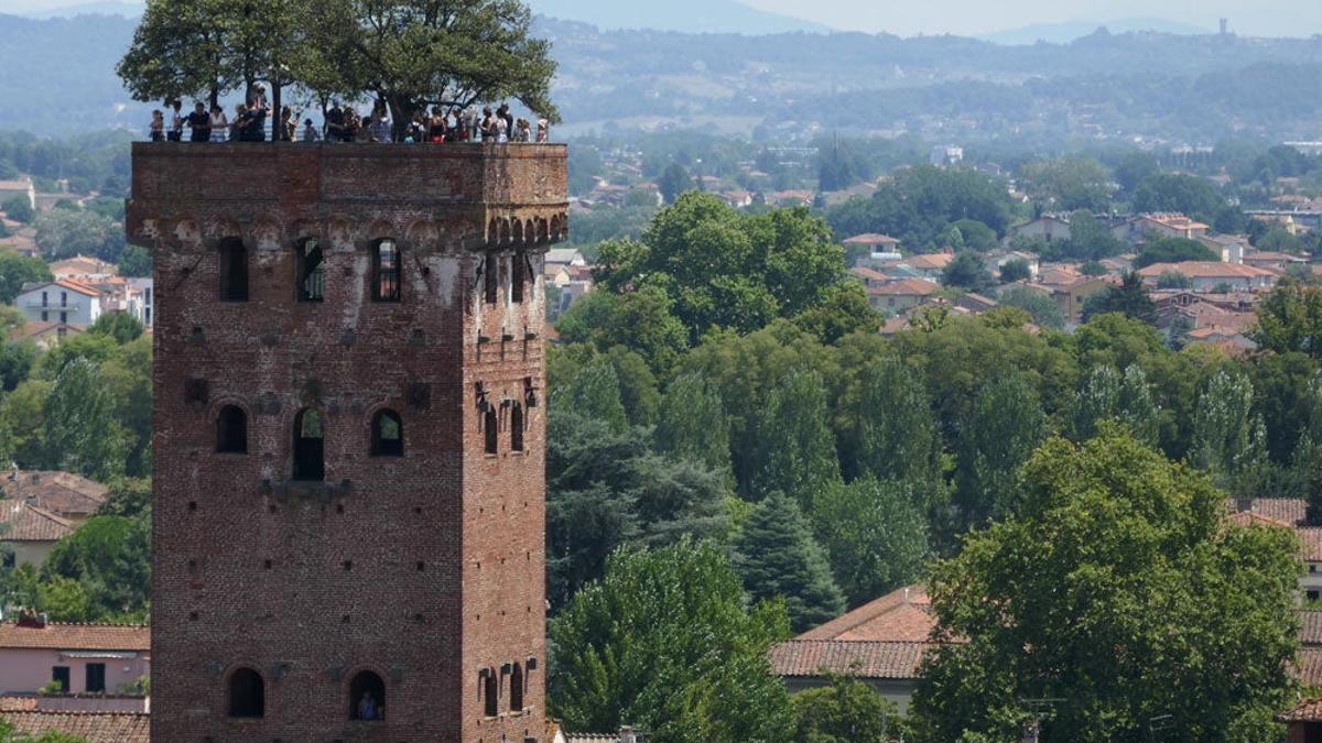 Torre Guinigi Lucca Italia