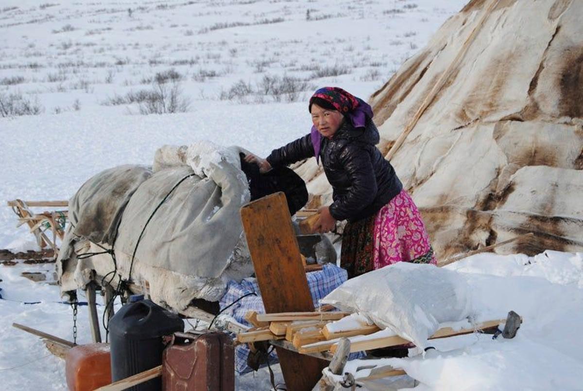 Viaje a la tierra de los nenets: una mirada antropológica