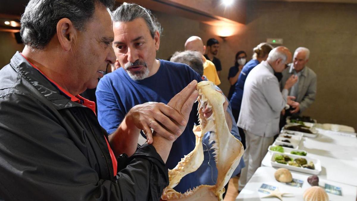 Asistentes a la muestra interactiva en la ONCE palpan una mandíbula de tiburón y objetos del mar.   | // V. ECHAVE