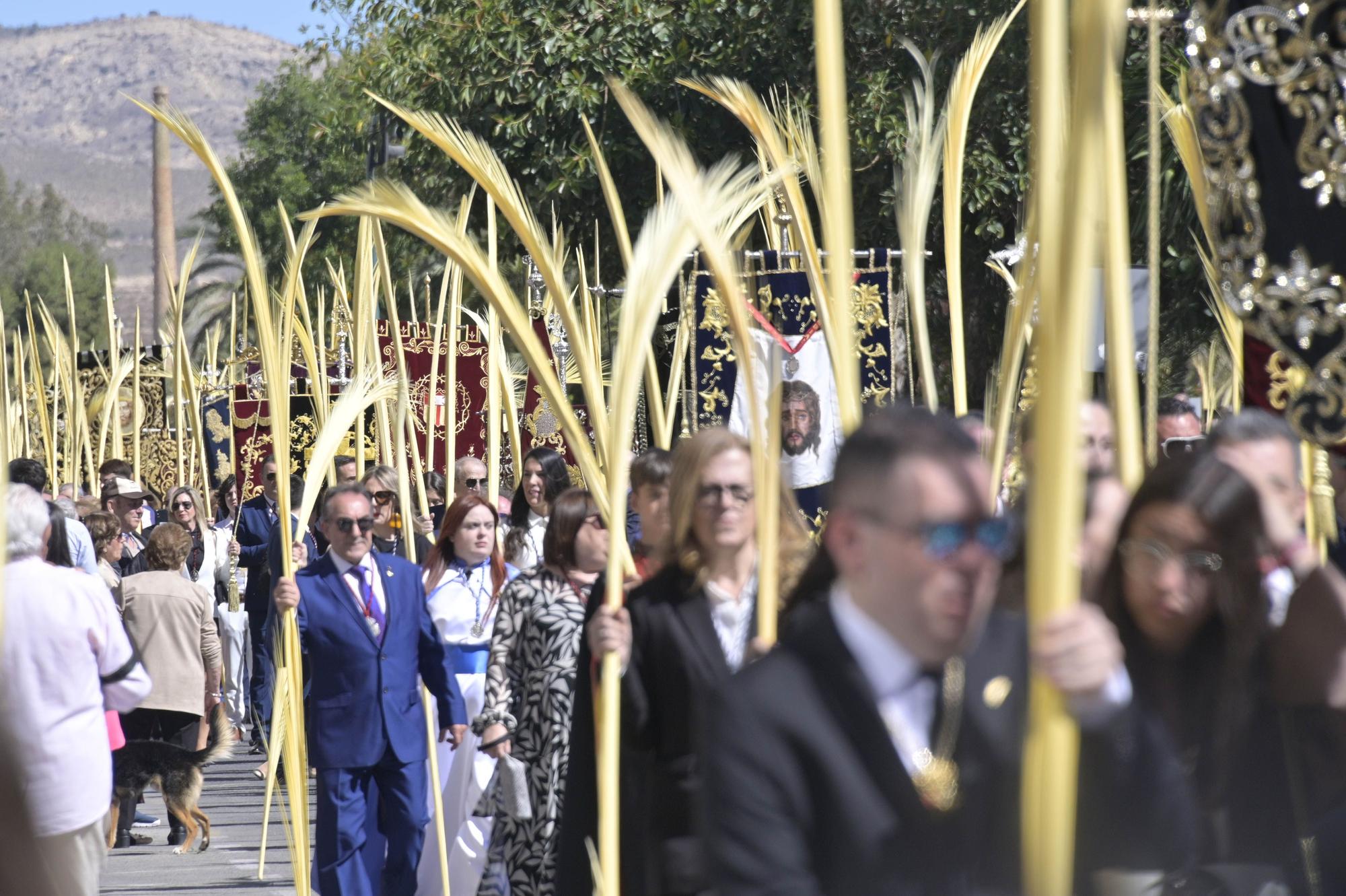 Domingo de Ramos en Elche