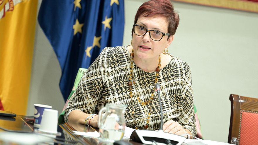 El Gobierno «está preparado» para agilizar la dependencia