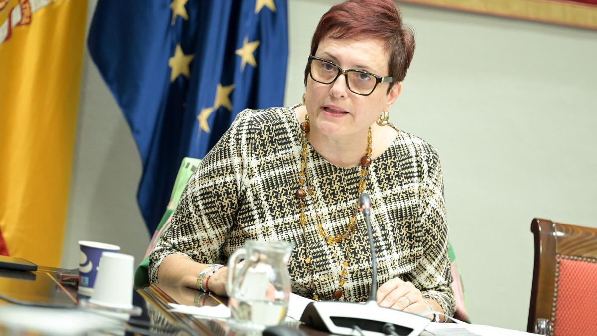 Archivo - La consejera de Bienestra Social del Gobierno de Canarias, Candelaria Delgado