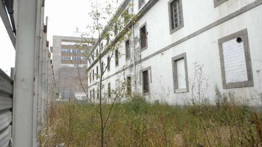 Maleza en la fachada de la Fábrica de Tabacos que da a la avenida del Ejército. / Alba Otero