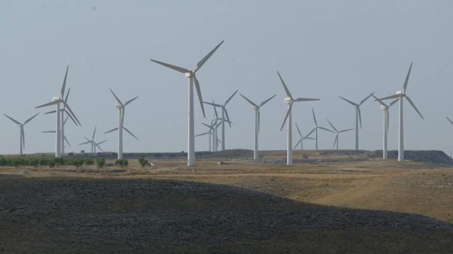 Declaran de interés autonómico dos parques eólicos en Borja y Cuencas Mineras