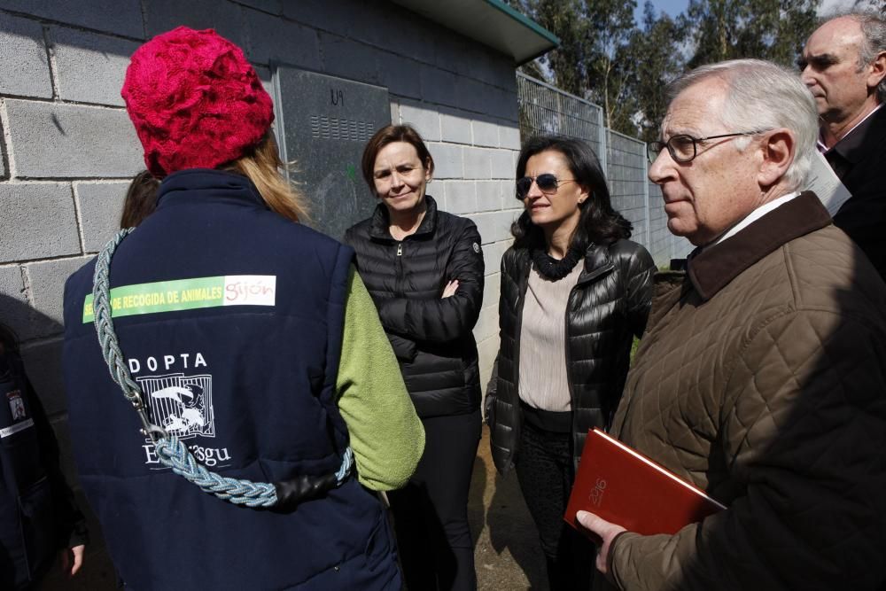 Carmen Moriyón y Maniel Arrieta visitan el Albergue de Animales de Serín