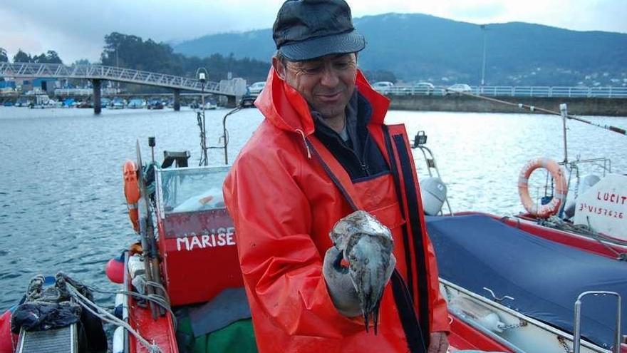 Un pescador muestra un choco en el puerto de Cesantes durante la pasada campaña. // FdV