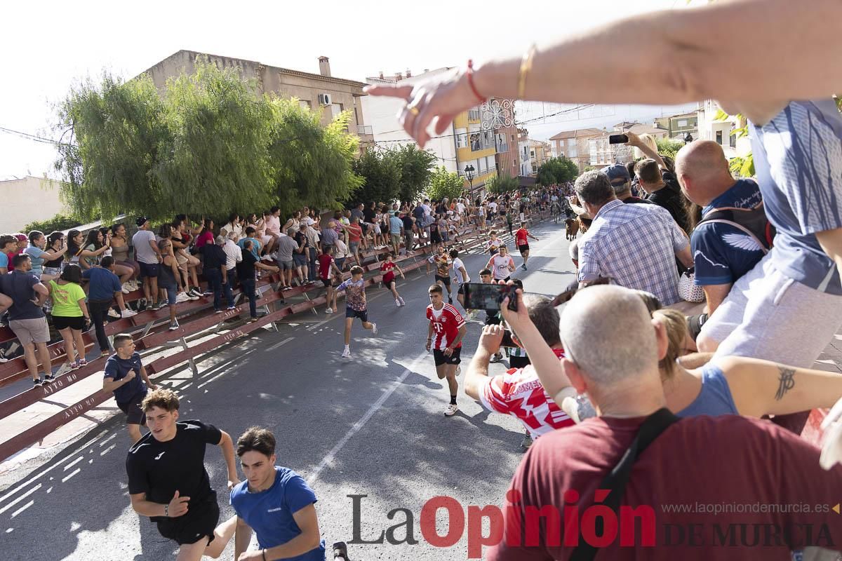 Primer encierro de las Fiestas de Moratalla