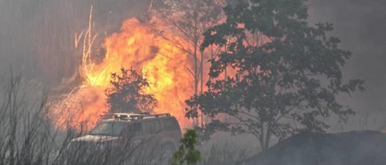 Medio Ambiente amplía un mes la prohibición de quemas para prevenir incendios forestales