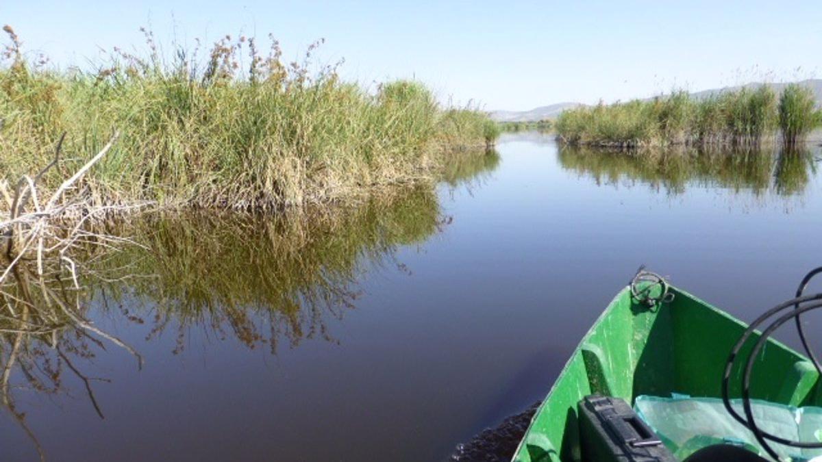 Día mundial de los humedales: ¿Sabías que España tiene 76 áreas de este ...