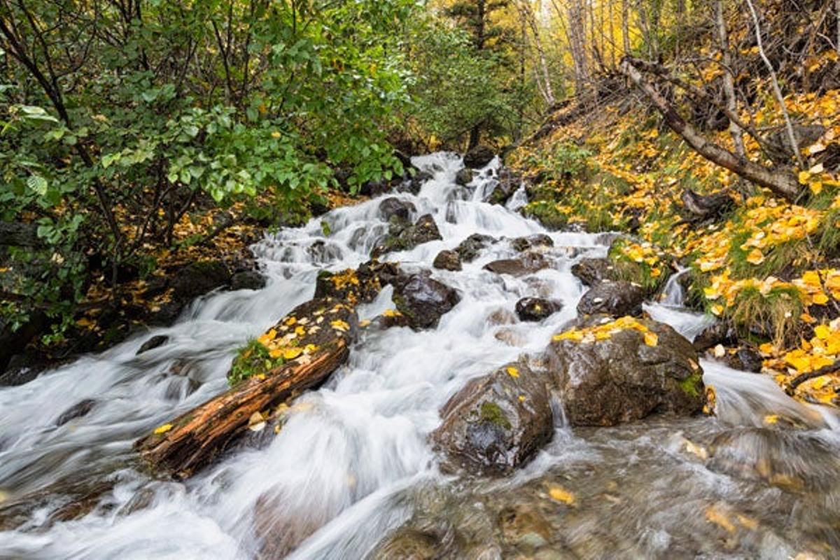 Pequeño riachuelo en Alaska. Pequeño riachuelo en Alaska.