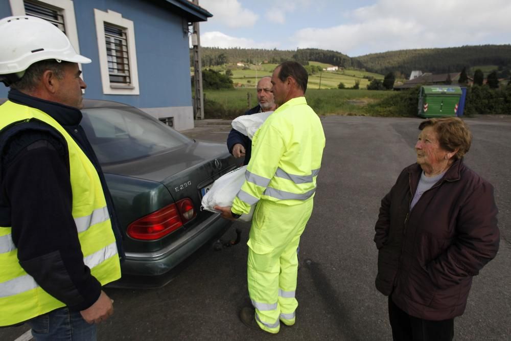 Recogida de patatas en Monteana