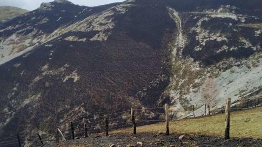 Monte quemado en Coldobrero.