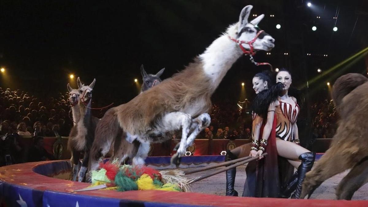Actuación con llamas en el Festival Internacional de Circo de Montecarlo.