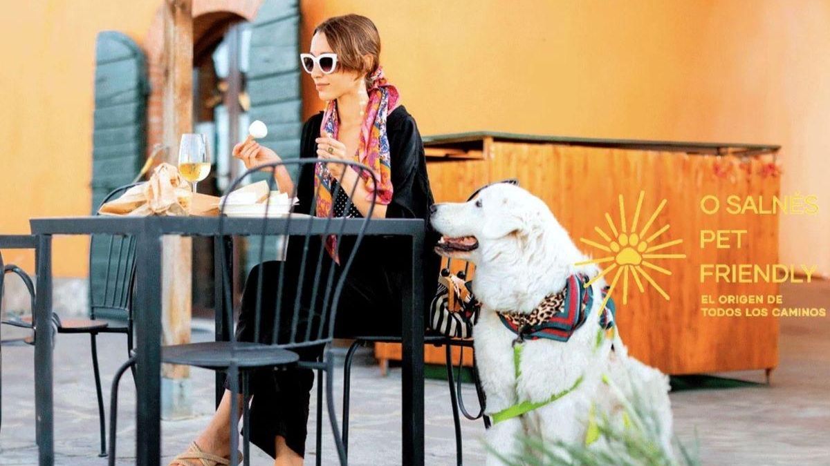 O Salnés, destino pet friendly.