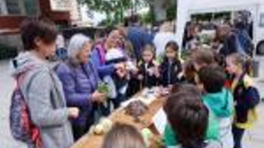 Girona Els infants venen verdures al mercat