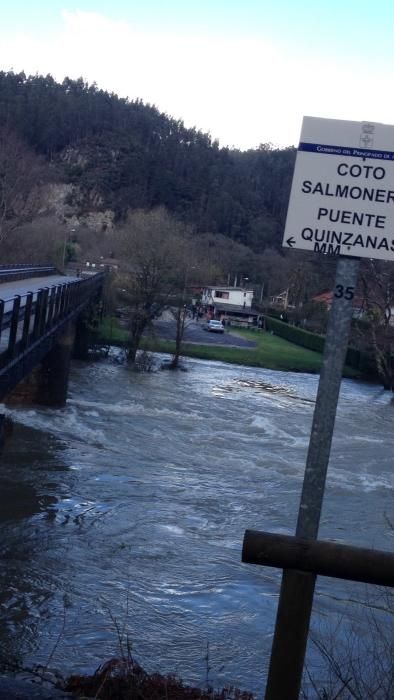 Los ríos Narcea y Nalón, muy crecidos en Pravia.